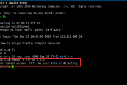 ECS Linux一键安装包执行chmod命令赋权时提示错误“chmod：cannot access ‘777’：No such file or directory”