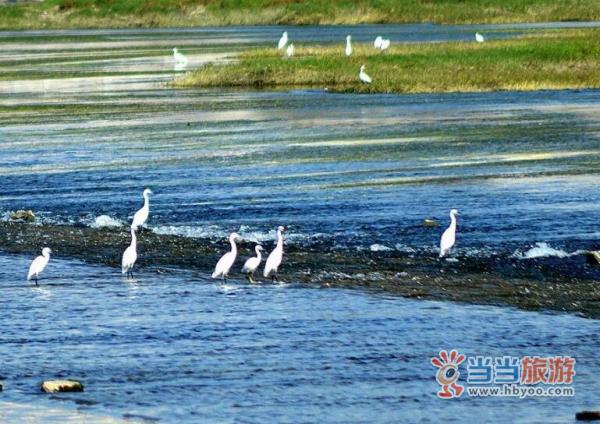谷城汉江国家湿地公园.jpg